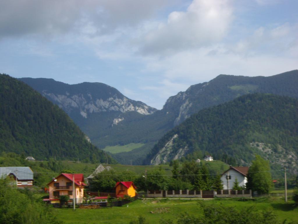 Garofita Pietrei Craiului Hotel Peștera Bagian luar foto