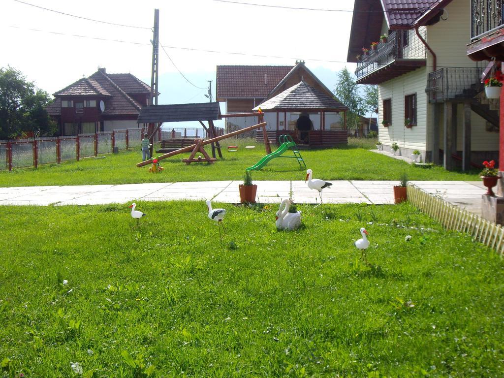 Garofita Pietrei Craiului Hotel Peștera Bagian luar foto