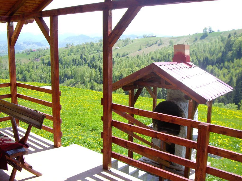 Garofita Pietrei Craiului Hotel Peștera Ruang foto