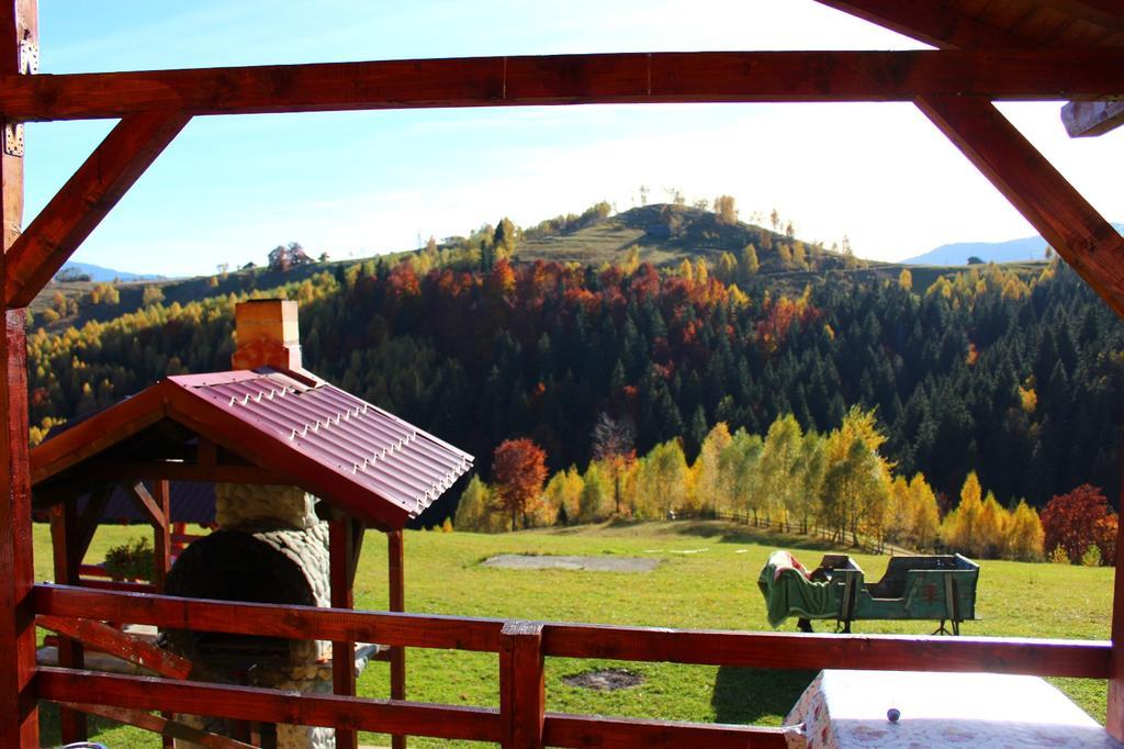 Garofita Pietrei Craiului Hotel Peștera Bagian luar foto