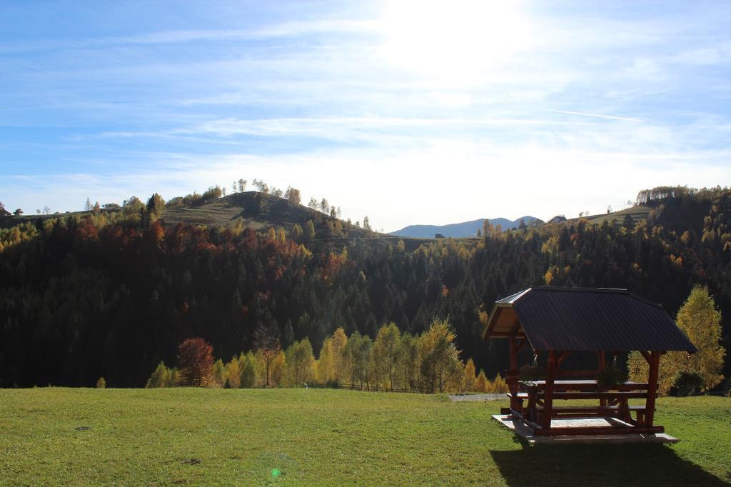 Garofita Pietrei Craiului Hotel Peștera Bagian luar foto