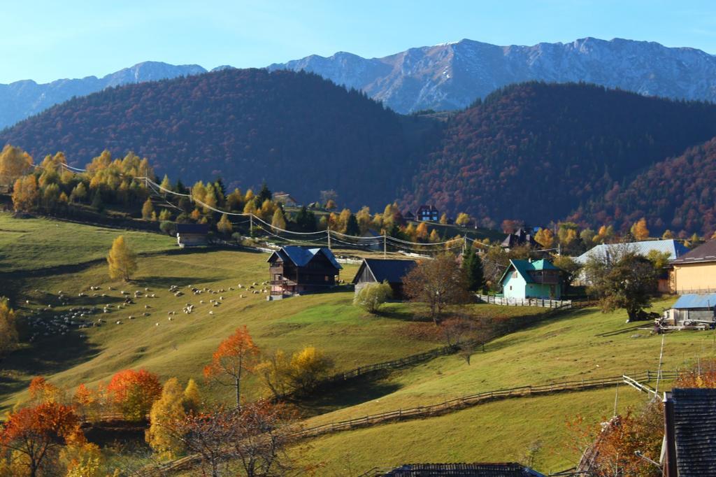 Garofita Pietrei Craiului Hotel Peștera Bagian luar foto